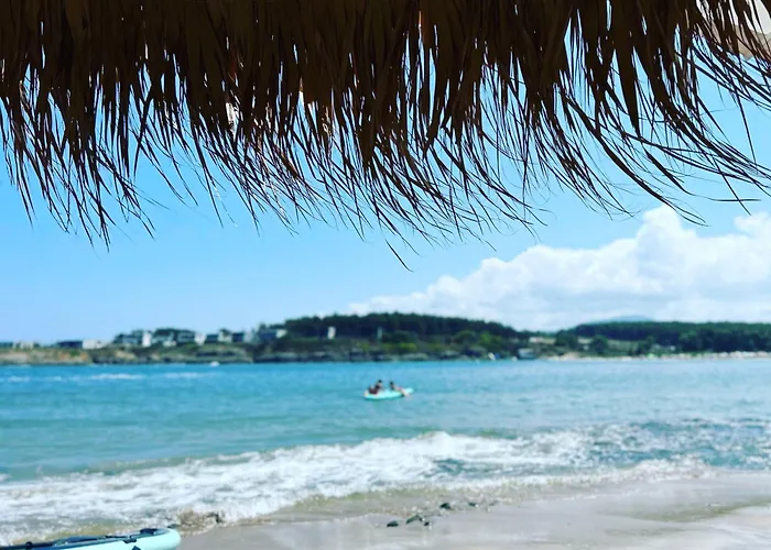 Coastal Arapya Daire *